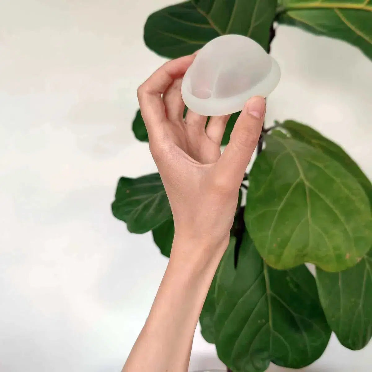 Womens Place Menstruationsdisk - Menstruationsdisk - MamaMilla