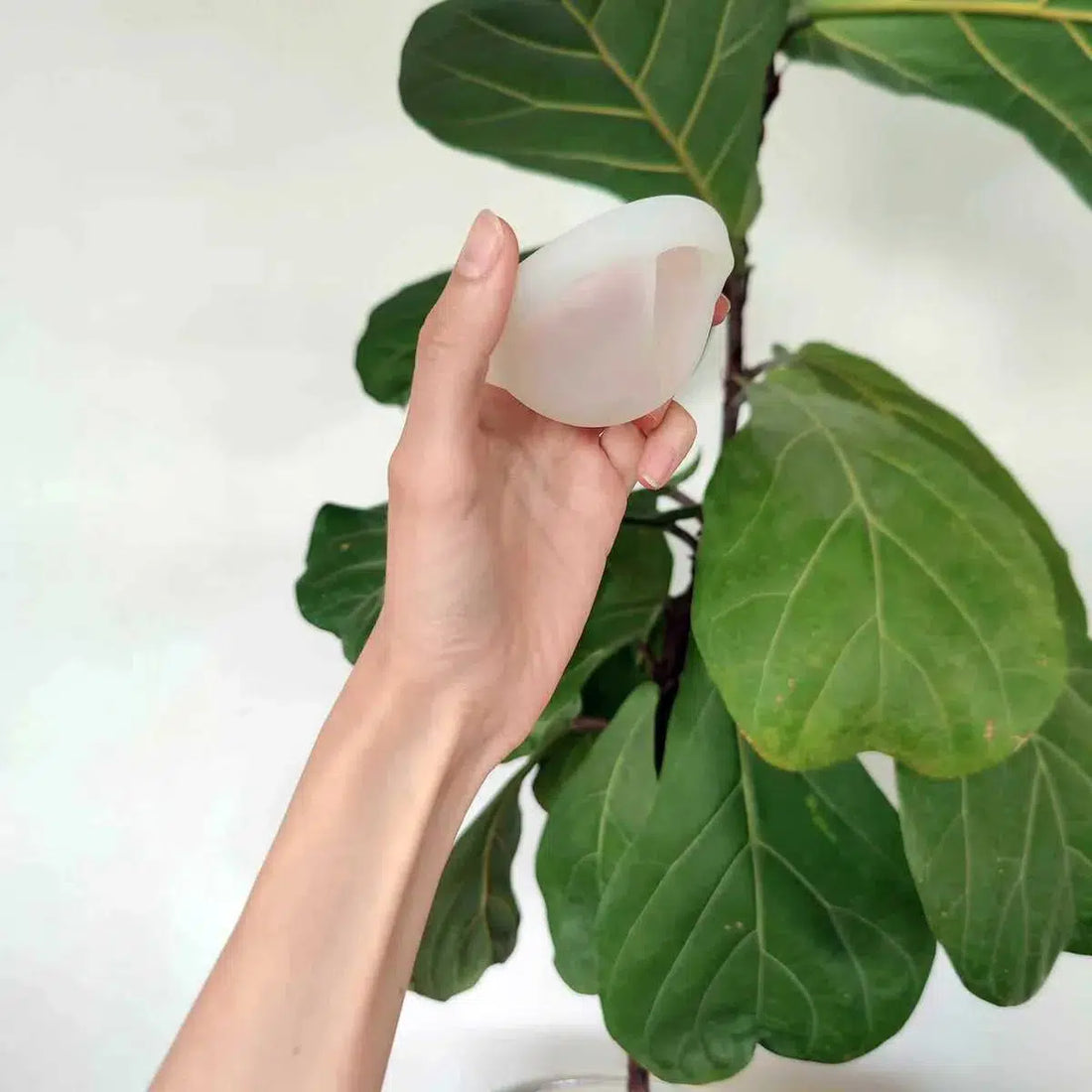 Womens Place Menstruationsdisk - Menstruationsdisk - MamaMilla